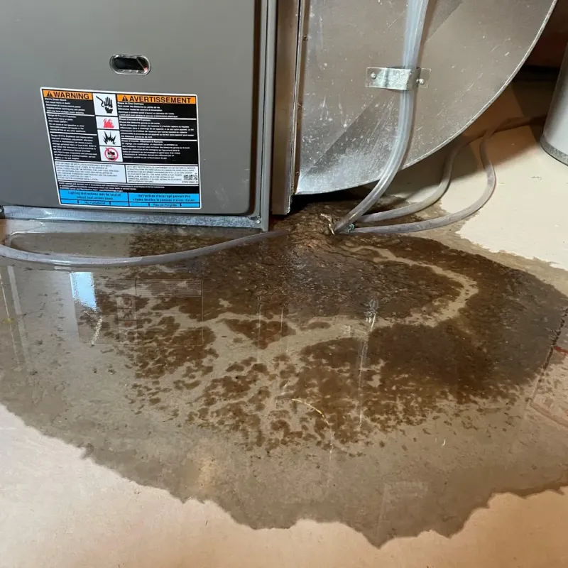 Appliance Leak Cleanup in Robertson County, KY