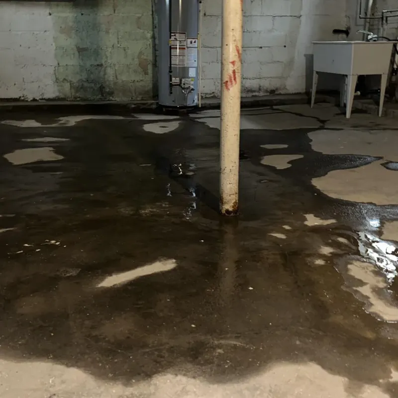 Emergency Water Extraction And Removal in Robertson County, KY